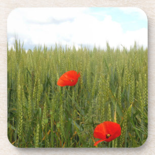 Papavers in harde Onderzetters van tarwe