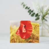 Papavers in het cornfield briefkaart (Staand voorkant)
