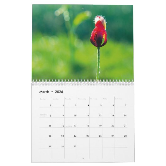 Papavers in mijn papavertuin - ventilatorkalender kalender (Mar 2026)