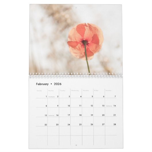 Papavers in mijn papavertuin - ventilatorkalender kalender (Feb 2026)