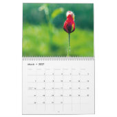 Papavers in mijn papavertuin - ventilatorkalender kalender (Mar 2027)