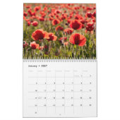 Papavers in mijn papavertuin - ventilatorkalender kalender (Jan 2027)