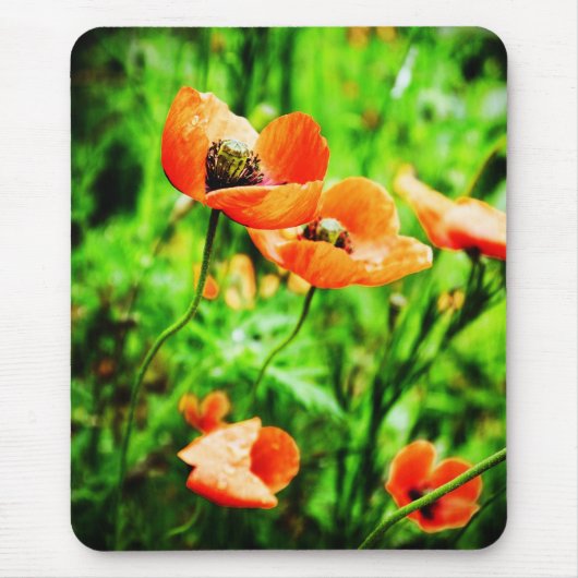 Papavers in Nieuw-Zeeland Mousepad Muismat (Voorkant)