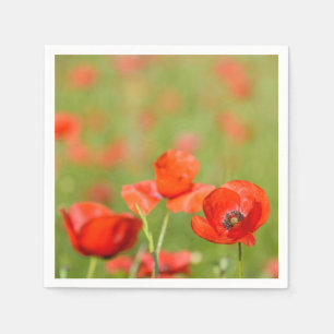 Papavers in papavers servetten