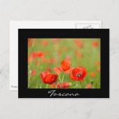 Papavers in Toscane, briefkaart met zwarte tekst (Voorkant / Achterkant)