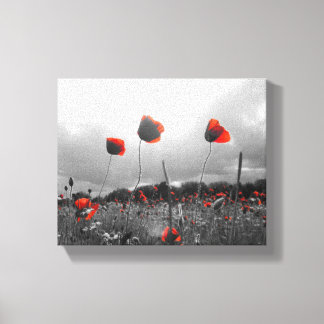 Papavers in zwart, wit en rood canvas afdruk