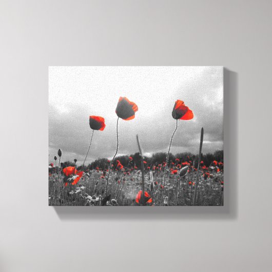 Papavers in zwart, wit en rood canvas afdruk (Voorkant)