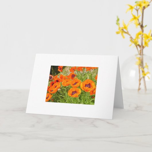 Papavers Kaart (Gele Bloem)