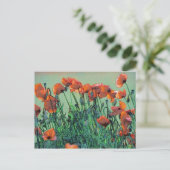 Papavers nr. 4 | BRIEFKAART (Staand voorkant)