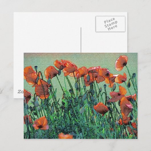 Papavers nr. 4 | BRIEFKAART (Voorkant / Achterkant)