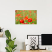 Papavers op een klaprozenveld poster (Thuiskantoor)