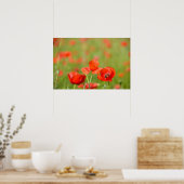Papavers op een klaprozenveld poster (Keuken)
