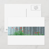Papavers op een muur briefkaart (Voorkant / Achterkant)