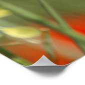 Papavers Poster (Hoek)