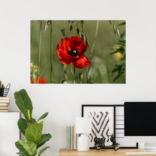 Papavers Poster (Thuiskantoor)