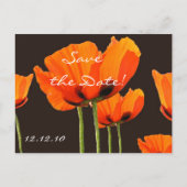 Papavers! Save the date Aankondigingskaart (Achterkant)
