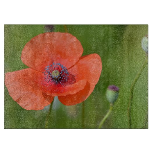 Papavers snijcomité snijplank (Voorkant)