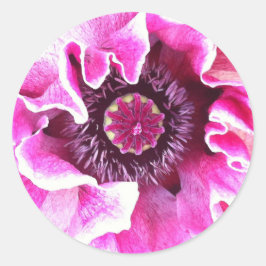 Papavers Sticker