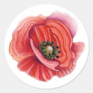 Papavers Sticker