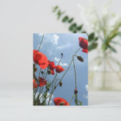 Papavers van de zon - briefkaart (Staand voorkant)