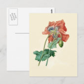 Papavers van Pierre-Joseph Redouté Briefkaart (Voorkant / Achterkant)