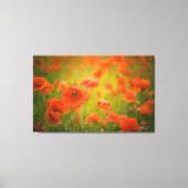 Papavers veld canvas afdruk (Voorkant)