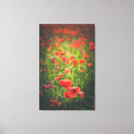 Papavers veld canvas afdruk