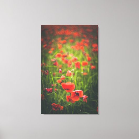 Papavers veld canvas afdruk (Voorkant)