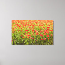 Papavers veld canvas afdruk