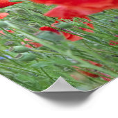 Papavers veld in Vernon. Poster (Hoek)