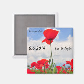 Papavers veld magneet (Voorkant / Achterkant)