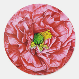 Papavers zaadpakket ronde sticker