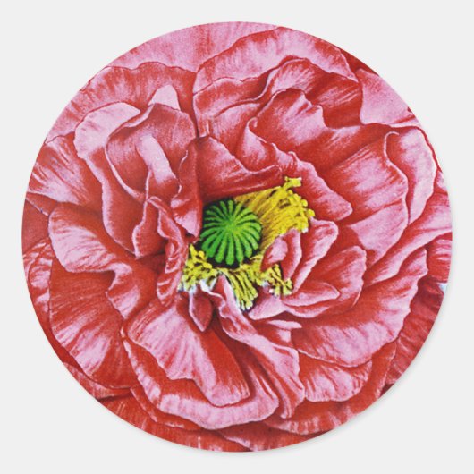 Papavers zaadpakket ronde sticker (Voorkant)
