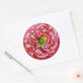 Papavers zaadpakket ronde sticker (Envelop)