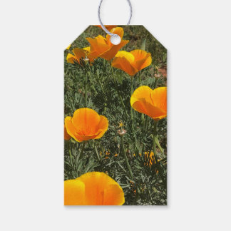 Papaverveld Cadeaulabel
