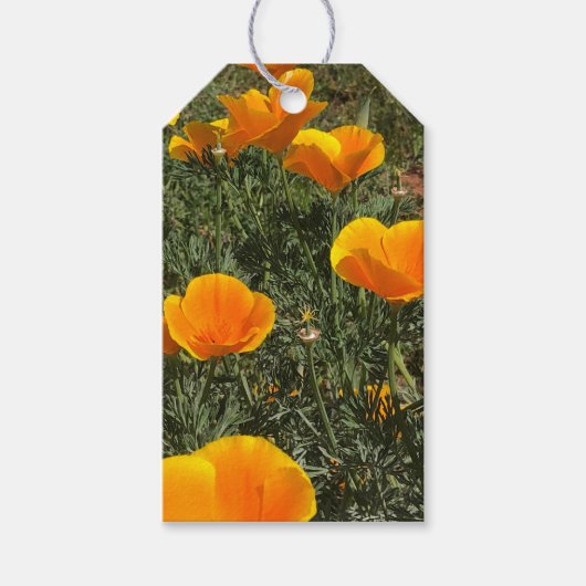 Papaverveld Cadeaulabel (Voorkant)