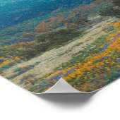 papaverveld in Californië | Granville Redmond Poster (Hoek)