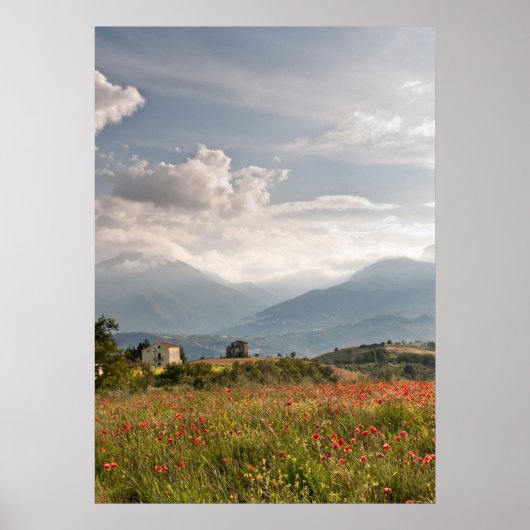 Papavervelden in het Italiaanse Poster (Voorkant)