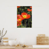 Papavery 1 poster (Keuken)