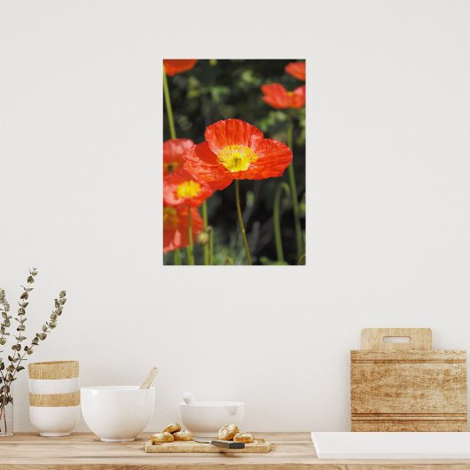Papavery 1 poster (Keuken)