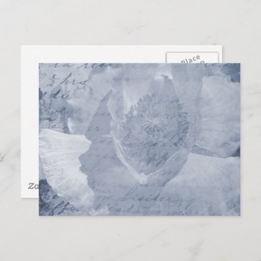 Papavery 2 briefkaart (Voorkant / Achterkant)