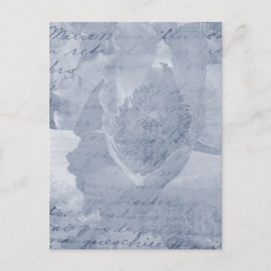 Papavery 2 briefkaart (Voorkant)