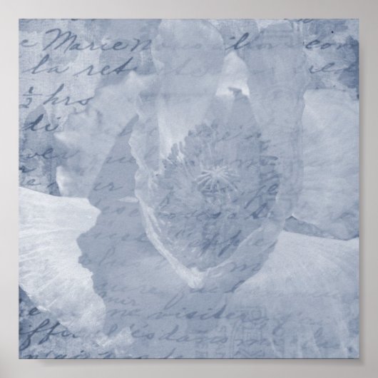 Papavery 2 poster (Voorkant)