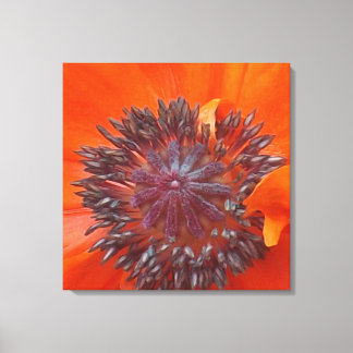 papaverzaad canvas afdruk