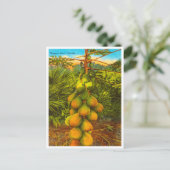  Papaya-boom, Florida Travel Briefkaart (Staand voorkant)
