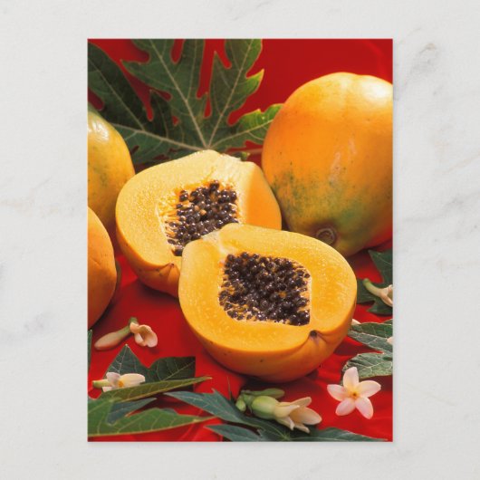 Papaya Briefkaart (Voorkant)