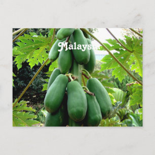 Papaya Briefkaart