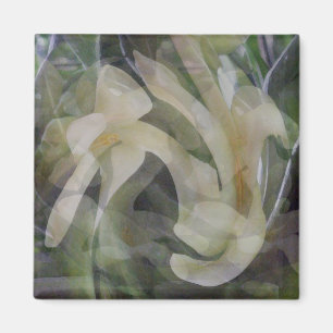 Papaya Flower in het Abstract Magneet