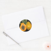 Papaya Gecko Ronde Sticker (Envelop)