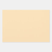 Papaya Nectar Glow Perzik Shades 3 Tones Inpakpapier Vel (Voorkant 3)